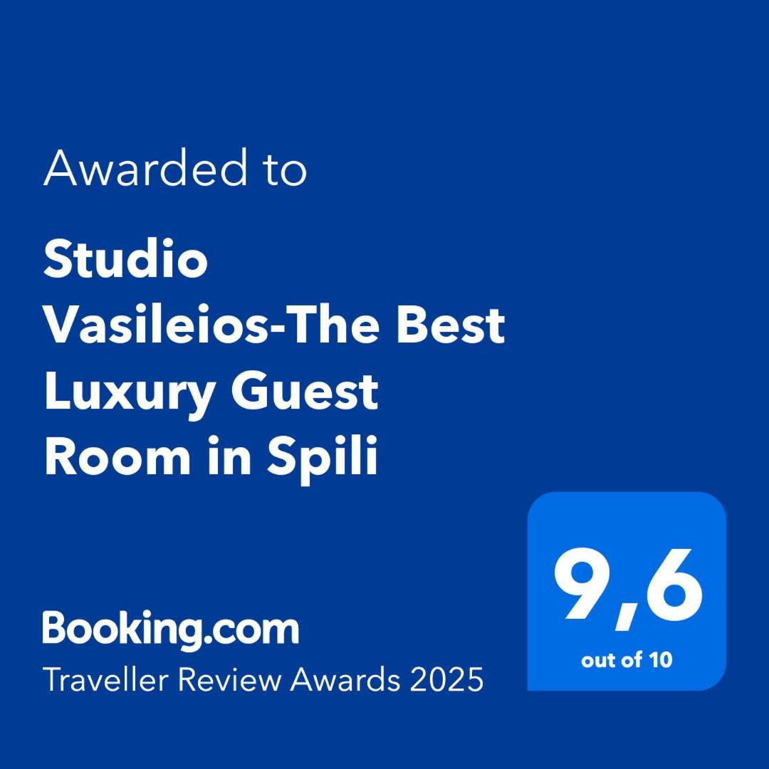 Studio Vasileios-The Best Luxury Guest Room In Spili Спилион Экстерьер фото